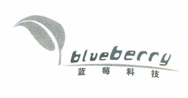 蓝莓数码科技（深圳市蓝莓电子技术有限公司）